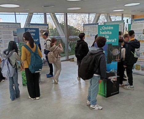 Alicante presenta la exposición 'Posidonia oceánica en 12 preguntas'
