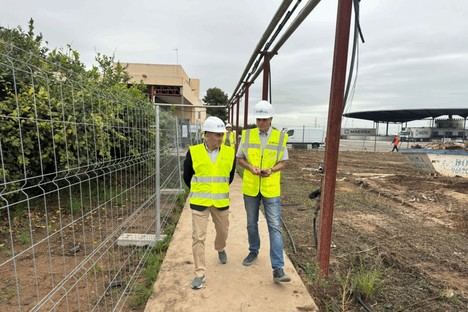 Barrachina critica al Gobierno por bloquear tratamientos fitosanitarios esenciales para agricultores valencianos