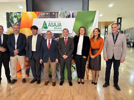 Seis millones de euros para apoyar a jóvenes agricultores en Alicante