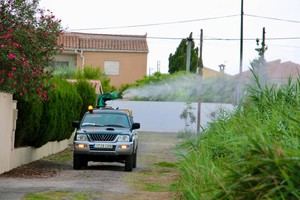 Castellón refuerza la lucha contra mosquitos en el Grao tras las lluvias