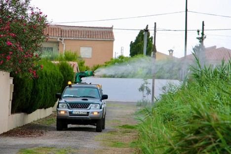Castellón refuerza la lucha contra mosquitos en el Grao tras las lluvias