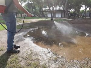Castellón intensifica medidas para controlar mosquitos tras lluvias recientes
