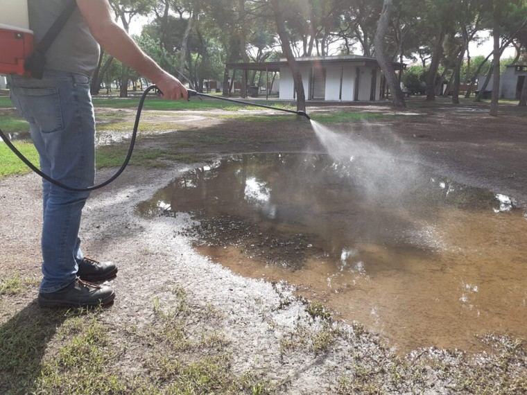 Castellón intensifica medidas para controlar mosquitos tras lluvias recientes