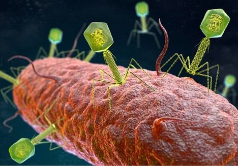 Nueva IA predice tratamientos personalizados contra virus bacterianos