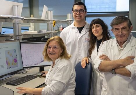 Nueva herramienta mejora el análisis 3D de tumores infantiles con inteligencia artificial