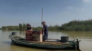 El Ayuntamiento de València exime a pescadores del canon por la riada en l'Albufera