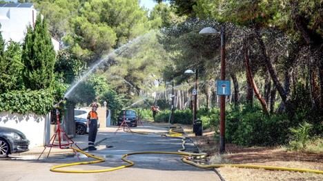 València refuerza la vigilancia en Devesa por riesgo de incendios y ola de calor
