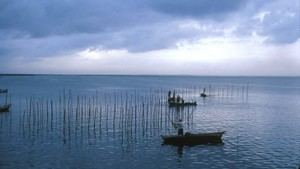 València inicia un estudio para evaluar la Albufera tras la riada
