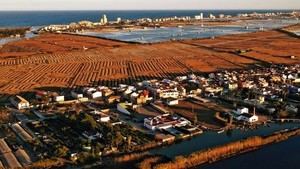 València comenzará la renovación urgente de tuberías en El Palmar