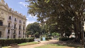 València inicia obras para preservar el ficus del Parterre y mejorar su acceso