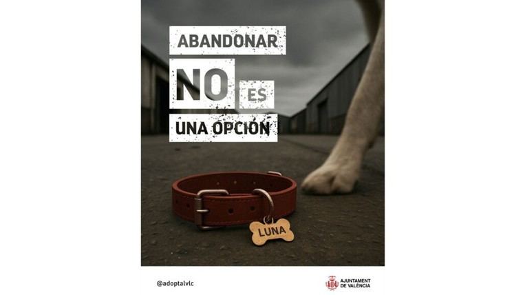 València lanza campaña para combatir el abandono de animales