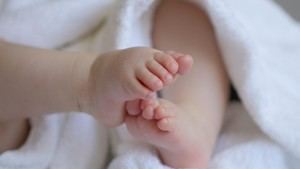 València registra más de 1.500 solicitudes de ayudas a la natalidad en seis meses