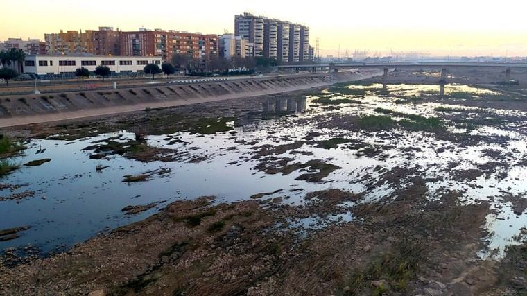 El Ayuntamiento solicitará a la CHJ limpiar el cauce del Túria de forma urgente