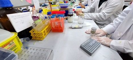 Dénia y el Centro de Gastronomía del Mediterráneo presentan investigaciones de la Universidad de Alicante