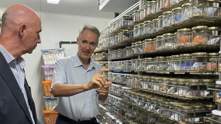 El concejal de Agricultura promueve charlas para recuperar variedades tradicionales de la huerta en Valencia
