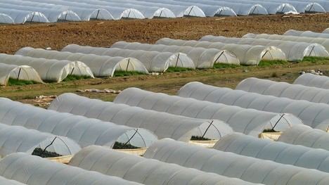 El Consell Agrari retira 19,6 toneladas de plásticos agrícolas en Valencia