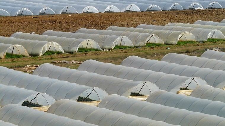 El Consell Agrari retira 19,6 toneladas de plásticos agrícolas en Valencia