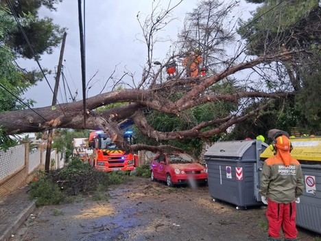 Bomberos de València realizan 20 intervenciones por lluvias tras la dana Alice