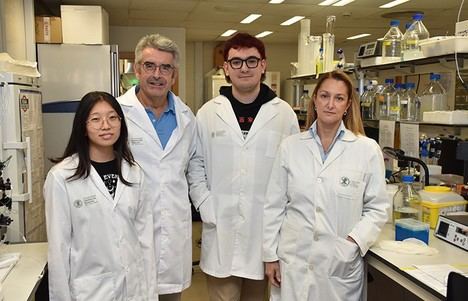 Investigadores de la UCV desarrollan un nuevo enfoque para combatir el VIH-1