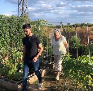 Castellón abre convocatoria para 448 parcelas de huertos urbanos