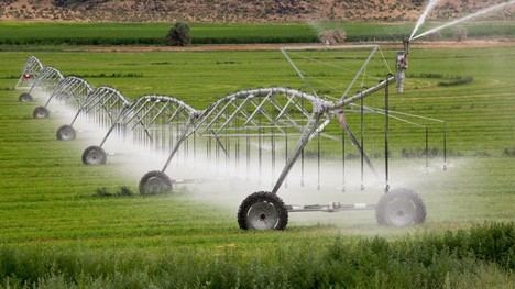 IVF lanza línea de préstamos bonificados para el sector agro ante la crisis económica