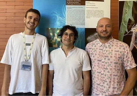 El lago de l'Albufera recibe anualmente 1,5 toneladas de pesticidas