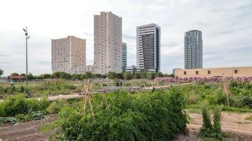 El Pleno destina 9 millones a adquirir 134 viviendas para alquiler social en Sociopolis