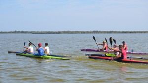 Autorizan al Club de Piragüisme Silla a navegar en L'Albufera hasta 2025