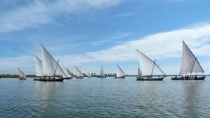 Dos nuevas exhibiciones de vela latina en el lago de l’Albufera autorizadas por el Ayuntamiento de València