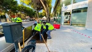 València comienza la plantación de más de 700 árboles para 2025-2026