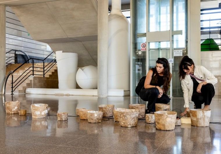 La XXVII Mostra Art Públic de la Universitat de València se reprograma para el 26 de febrero