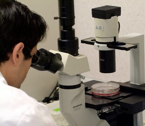 Valencia acoge la Noche Europea de la Investigación con más de 50 actividades gratuitas