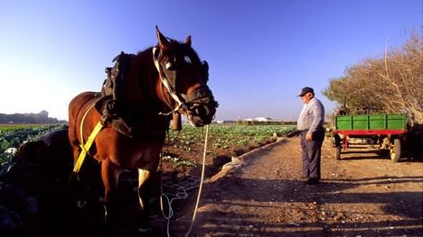 València destina 528.000 euros en ayudas para emprendedores afectados por la riada