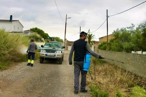 Castellón intensifica el control de mosquitos y pide colaboración ciudadana