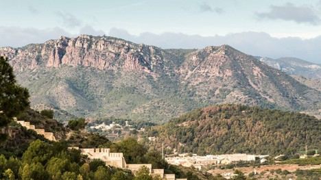 El estudio de 'diversidad ausente' muestra el impacto humano en la biodiversidad global