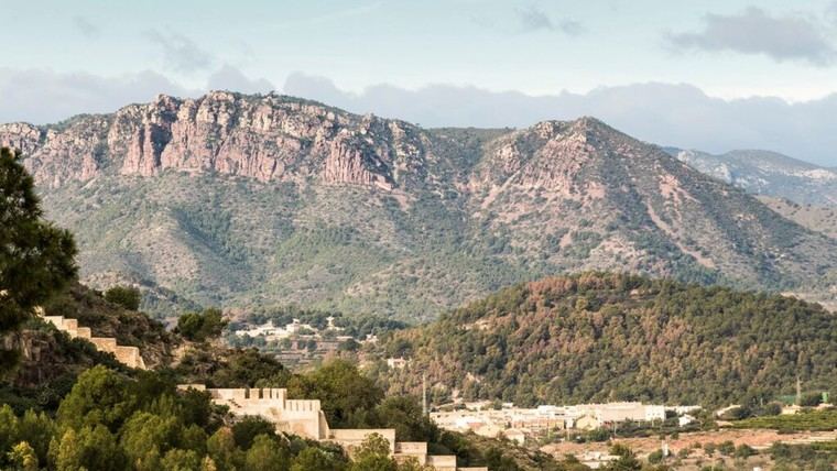El estudio de 'diversidad ausente' muestra el impacto humano en la biodiversidad global