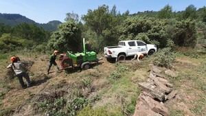 La Generalitat refuerza la prevención de incendios en zonas naturales