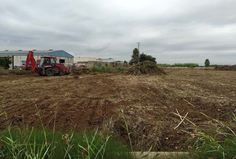 La Generalitat comienza la construcción de la variante norte de Albalat de la Ribera con una inversión de 5,1 millones
