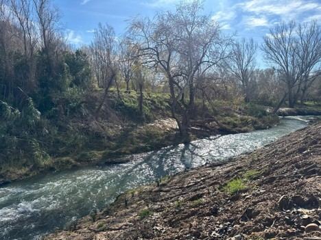 La Generalitat busca declarar el Bosc de Ribera d’Algemesí como paraje natural municipal