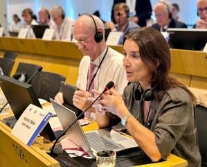 La Generalitat aboga por un enfoque regional en la defensa europea en Bruselas