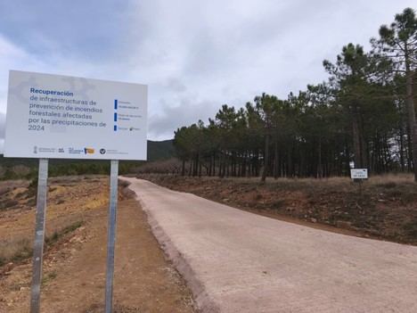 La Generalitat invierte 511.000 euros en reparar pistas forestales dañadas en Pina de Montalgrao
