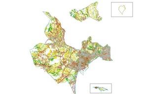 Alicante licitará un servicio para mantener 1.650 kilómetros de vías urbanas y carriles bici