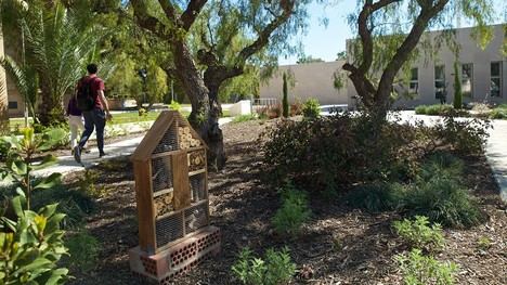 La Universidad de Alicante crea refugios para insectos y apoya la conservación de polinizadores