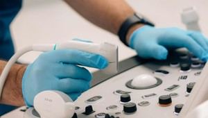 Universidad de Alicante y IVF-Life crean un portal para educar sobre fertilidad y reproducción asistida