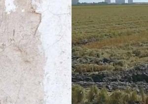 Universitat de València presenta el docuweb 'Orgull d'Horta' para explorar arte y activismo territorial
