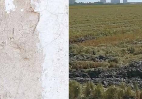 Universitat de València presenta el docuweb 'Orgull d'Horta' para explorar arte y activismo territorial