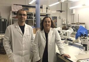 Investigadores de la Universitat de València analizan 20 especies de hongos en documentos dañados por la DANA