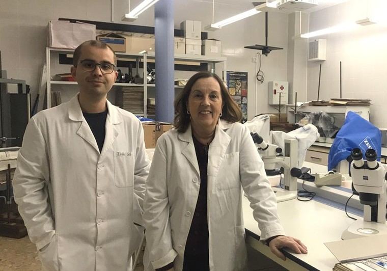 Investigadores de la Universitat de València analizan 20 especies de hongos en documentos dañados por la DANA