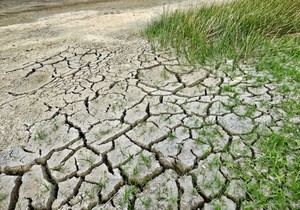 La Universitat de València acogerá la primera conferencia sobre cambio climático en el Mediterráneo ibérico