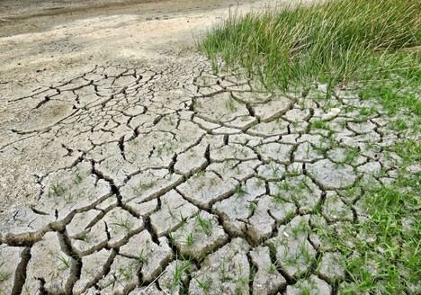 La Universitat de València acogerá la primera conferencia sobre cambio climático en el Mediterráneo ibérico